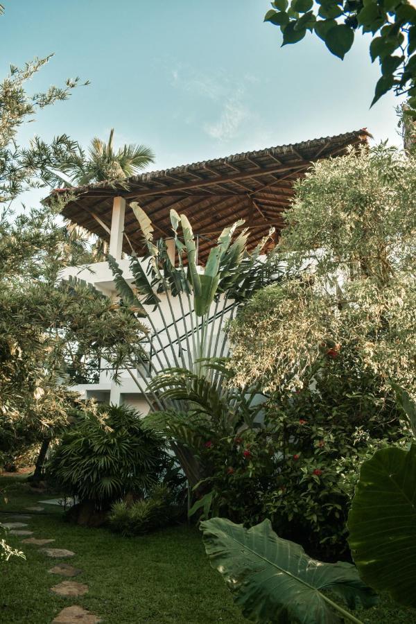 ホテル Casa Gitano アハンガマ エクステリア 写真